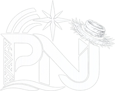 Logomarca oficial do Portal Norte Junino